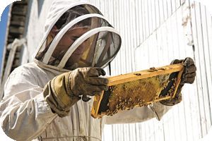 Broschüre Ausbildung MLR Stuttgart